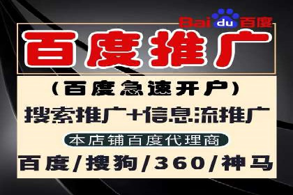 百度平台推广：成功案例解析与效果分析